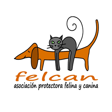 Felcan Asociación protectora felina y canina