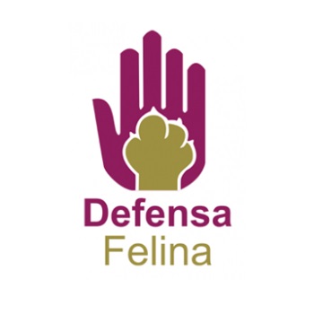 Asociación Defensa Felina de Sevilla